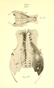 n294_w1150