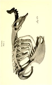 n186_w1150