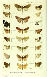 n609_w1150