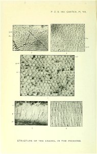 n183_w1150