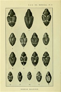 n483_w1150