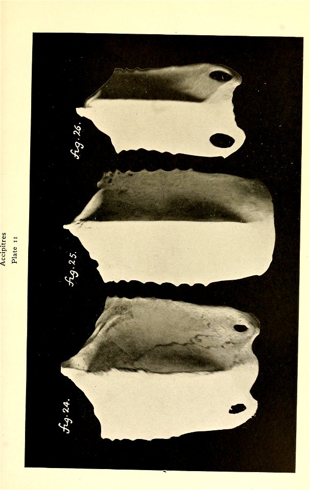 n182_w1150