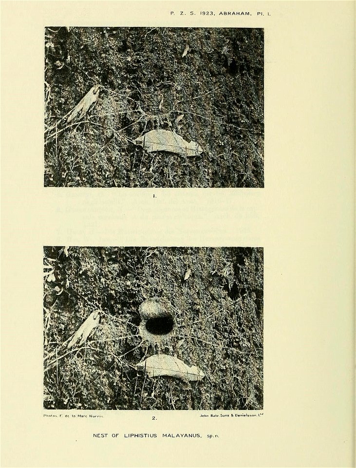 n355_w1150