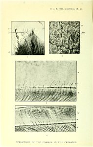 n181_w1150