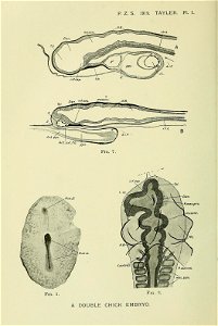 n137_w1150