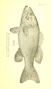 n68_w1150