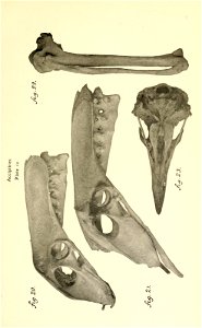n178_w1150
