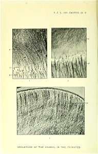 n179_w1150