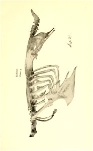 n282_w1150