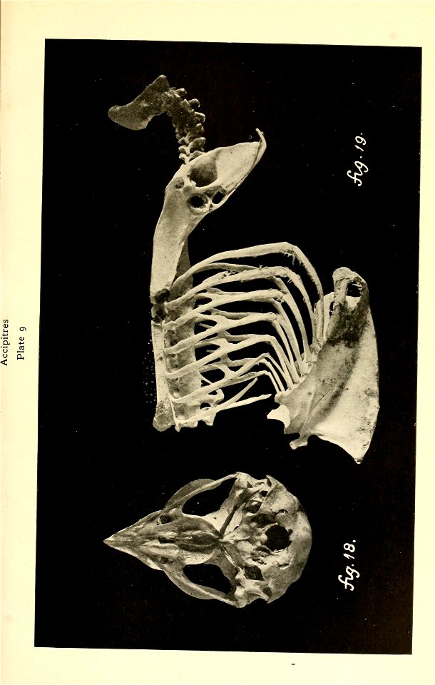 n174_w1150