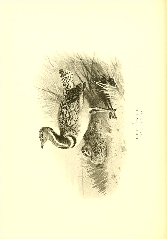 n191_w1150