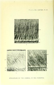 n177_w1150