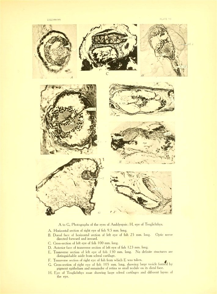 n172_w1150