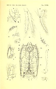 n202_w1150