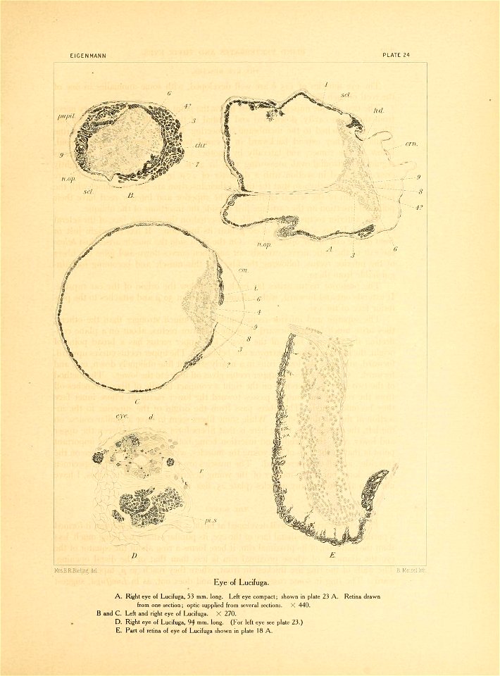 n290_w1150