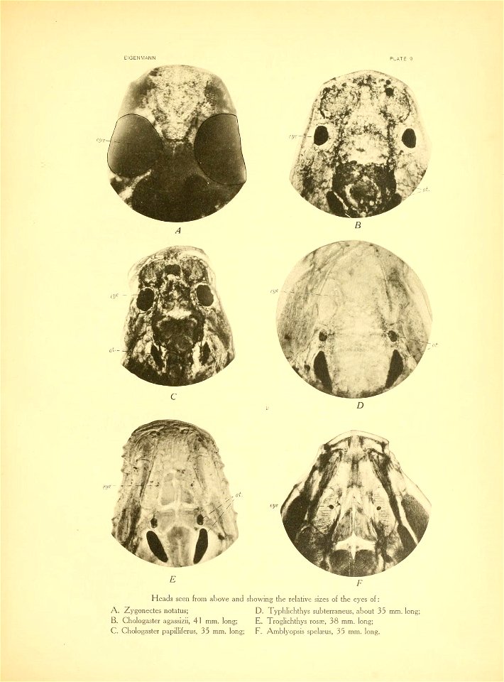 n148_w1150