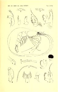 n198_w1150