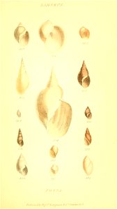 n172_w1150