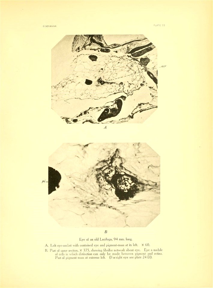n282_w1150