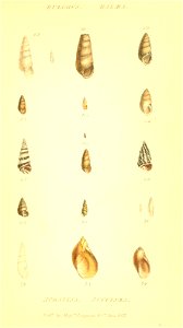 n166_w1150