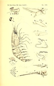 n182_w1150