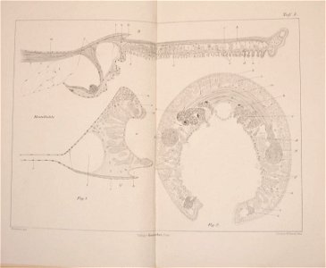n36_w1150