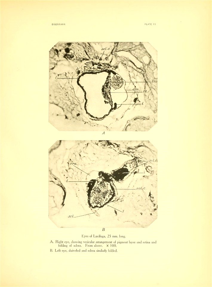 n266_w1150