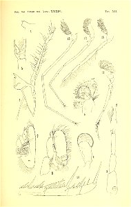 n178_w1150
