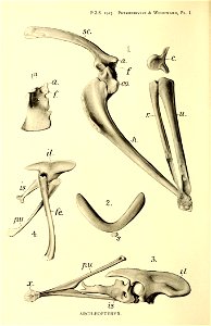 n19_w1150