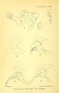 n393_w1150