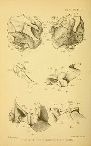 n599_w1150