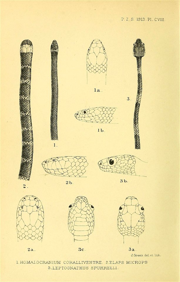 n873_w1150