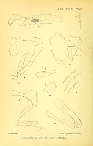 n391_w1150