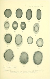 n168_w1150