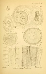 n408_w1150