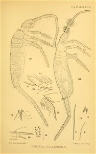 n138_w1150