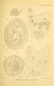 n406_w1150