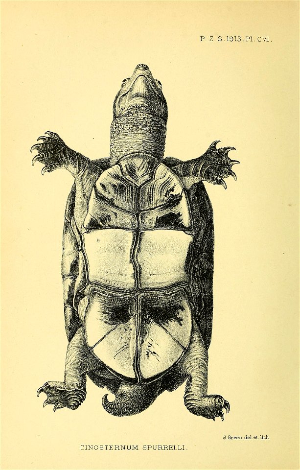 n869_w1150