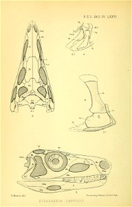 n387_w1150