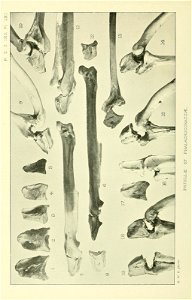 n131_w1150
