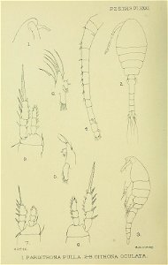 n303_w1150