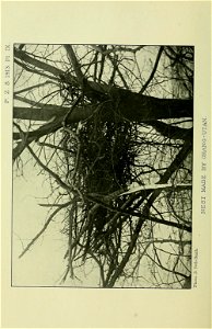 n39_w1150