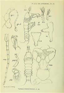 n439_w1150