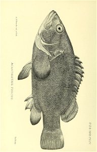 n105_w1150