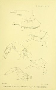 n412_w1150