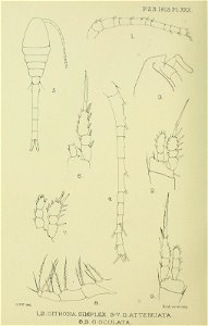 n301_w1150