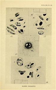 n578_w1150