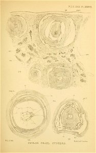 n402_w1150
