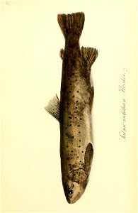 n114_w1150