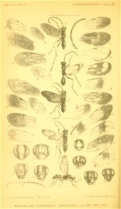 n179_w1150